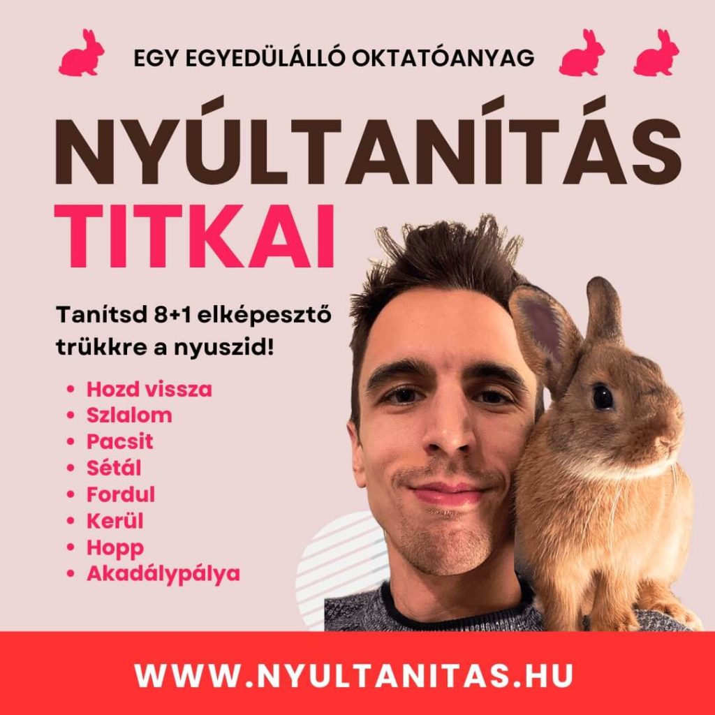 törpenyúl tanítás