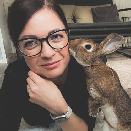 törpenyúl vélemény